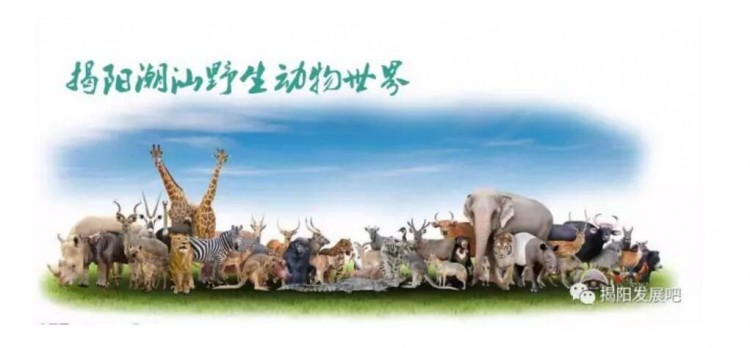 总投资40亿，揭阳潮汕野生动物世界项目将进行奠基典礼